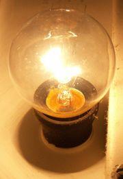 An incandescent bulb, fluorescent light, and