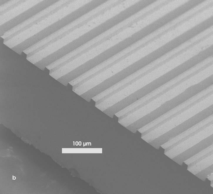 feedback versions are very compact a few millimeters in length and easily can be microfabricated in large quantities, but their tunability is limited to temperature tuning of 0.5 nm/k.