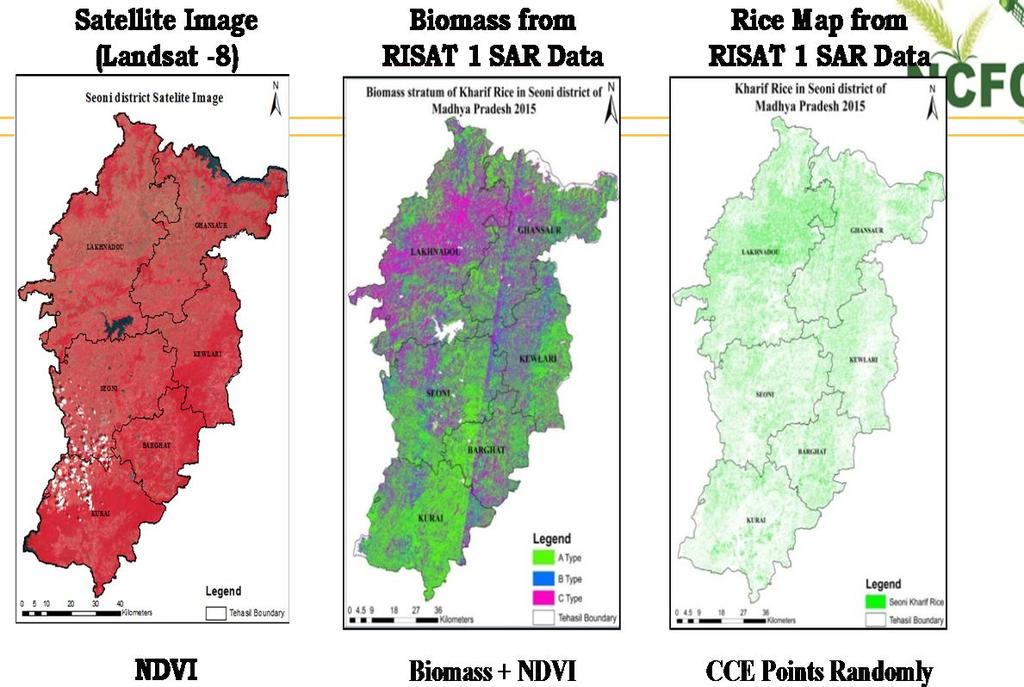 CCE Planning Generation of crop specific map using SAR data and ground truth NDVI computation for specific cropped