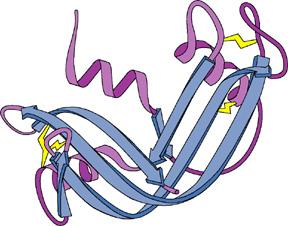 Protein denaturation Degradation of a protein or,