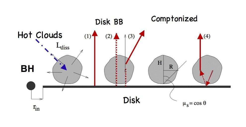 FIGURE 2. Two types of accretion flow geometry [52]: (2) Geometrically think disk extends down to the innermost stable orbit of a central black hole.