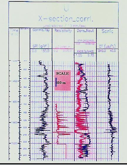 192 gamma ray log was used to discriminate reservoir rocks and other lithological units. It was also used to infer depositional facies and environments, as well as for well to well correlation.
