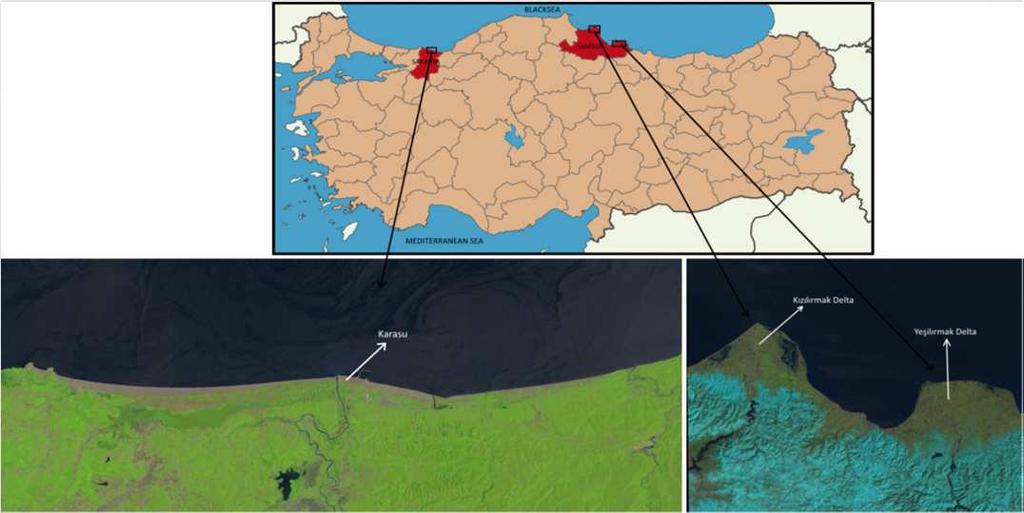 The mean annual rate of shoreline recession at Kizilirmak Delta was 6 cm/year over September 1992 February 2012 (Simav 2012).