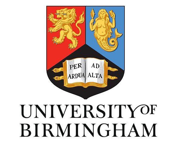 The Role of Rheology in the Flow and Mixing of Complex Fluids by Sara Ghorbanian Farah Abadi A thesis submitted to The University of Birmingham for