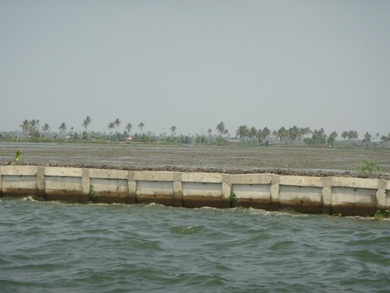 Embankments for paddy cultivation In the Kuttanad region, construction of embankments (bunds) in the shallow parts of the backwaters started at least a century ago.