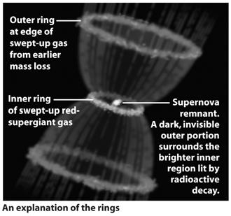Neutrinos emanate from supernovae like SN 1987A More than 99%