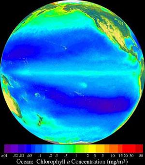 Exercise Note that the Equatorial Pacific is ~ 10.000 km wide and the upwelling is concentrated in a 50 km wide band at the equator.