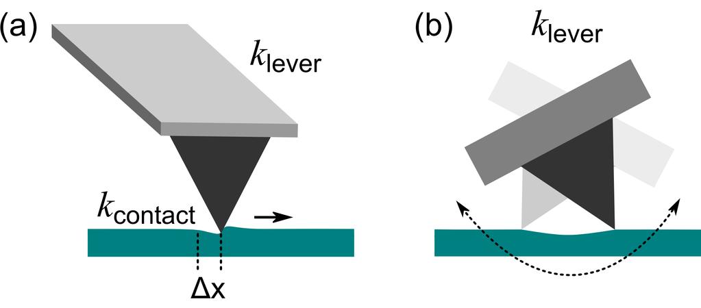 Figure 2.5: (a) A cantilever tip in contact with a sample surface during atomic stick-slip movement.