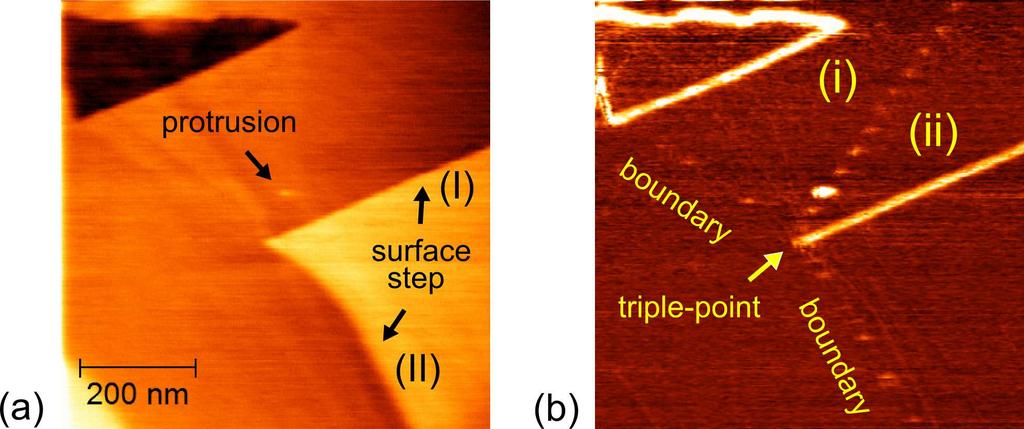 Figure 6.4: (a) Topography and (b) friction image on graphite, detected by using the fractional excitation technique.