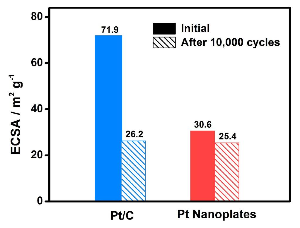 Figure S16. Change of the ECSA of ultrathin Pt nanoplates and the commercial Pt/C catalyst in ORR. These data were summarized based on Figure S15 (a, c).
