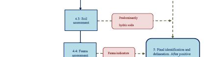 2 Vegetation assessment Step 4.3 Soil assessment Step 4.