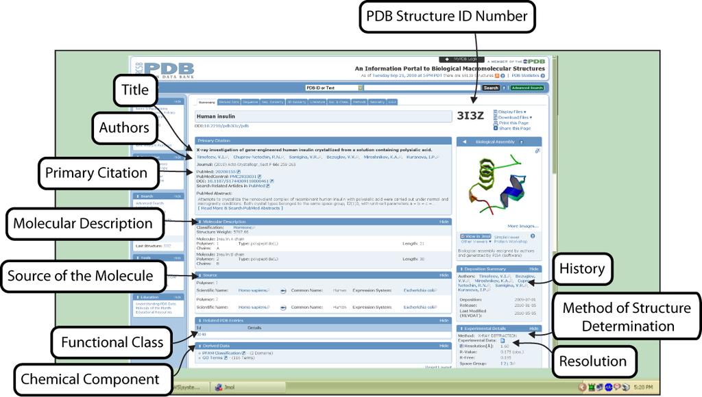 Structure Summary Page - Every PDB file in the Protein Data Bank has its own page with information about that PDB file.