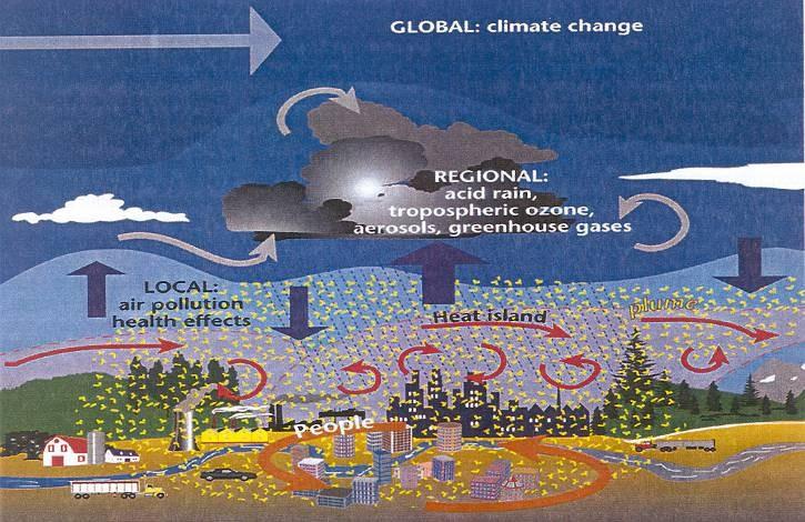 Meteorological and Air Quality -