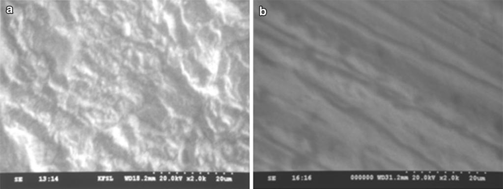 Fig. 5 Scanning electron micrographs of the zinc surface after 2 