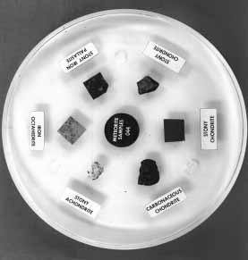 About the Meteorite Sample Disk The Meteorite Sample Disk contains six labeled meteorites embedded in a 15 cm plastic disk.