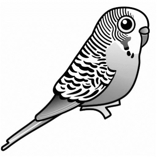 CORE AQA P1.5.2 Describe and construct ray diagrams for reflection in a plane mirror The diagram below shows a bird looking in a mirror at his claw. Image from: http://www.zazzle.co.uk/cute_birdorable_blue_budgie_photo_sculpture_magnet-153426836595863060 1.