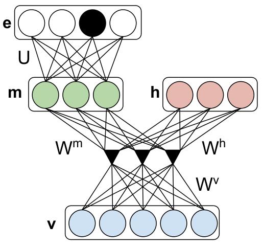 Disentangling: Partial Labels Labels may be provided for any group of hidden units Here, hidden units e are connected to hidden units m The energy function is