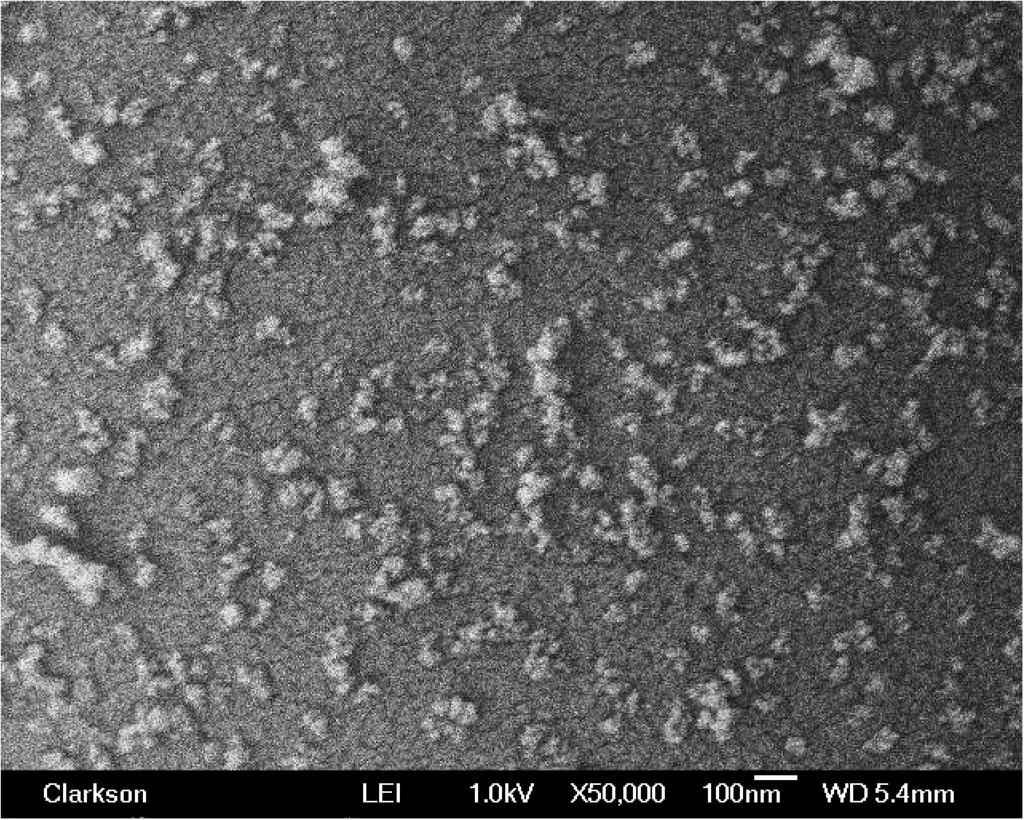 The average diameter of the silica nanoparticles is 24 nm. nanoparticle is around 24 nm, but some nanoparticles form clusters of over 100 nm in size (Fig. 2(b)).