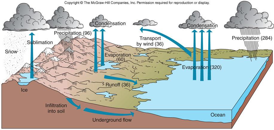 Geologic Processes and Hazards Definition of Geology External and Internal Processes: examples of each Fundamentals of Plate Tectonics: definition, types of boundaries, general geography, hazards &