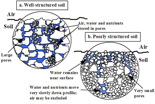 What Can Microbiology Do? More consistent outcomes Despite adverse seasons (e.g., drought) Improve soil structure Water stable aggregates Increase nutrient availability Solubilise nutrients - e.g., Pseudomonas Cycle nutrients - e.