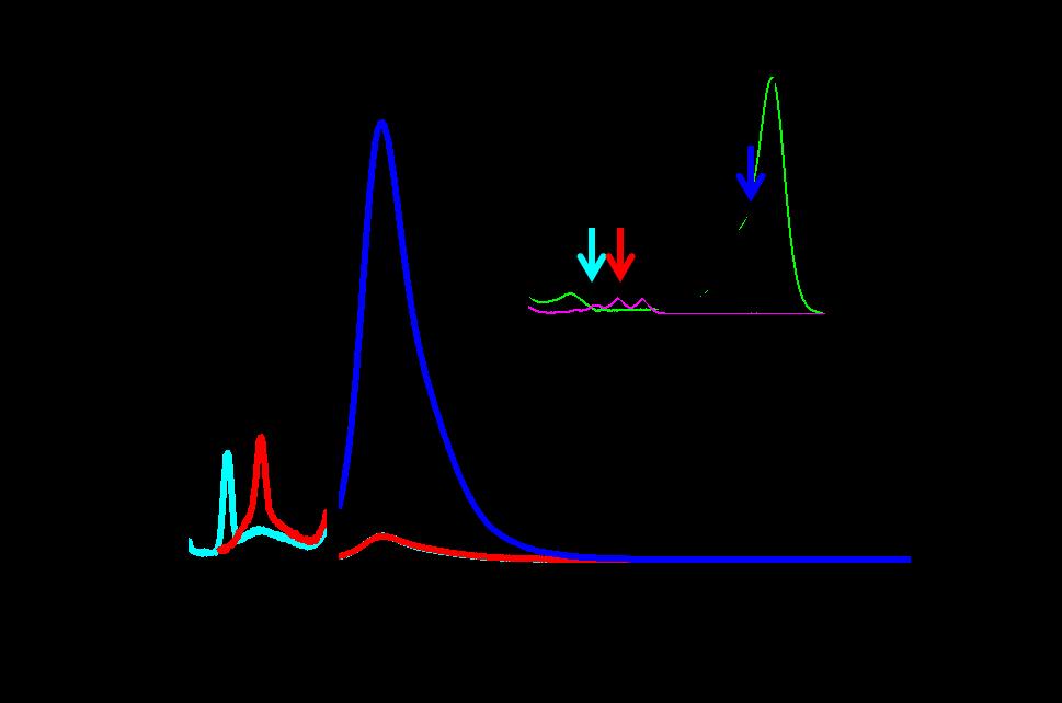 λ ex = 350 nm λ ex = 375 nm λ ex = 485 nm Figure S3. Fluorescence spectra of Fl-An excited at 350 nm (cyan), 375 nm (red), and 485 nm (blue). Inset: absorption spectra of Fl-An in ph 8.