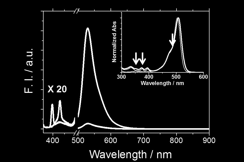 Cyan, red, and blue arrows indicate the excitation wavelength of 350, 375, and 485 nm, respectively, used for the measurements of fluorescence spectra.