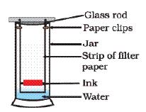 He marked a line by the ink on a thick paper and placed the it in a glass containing water as shown in figure. The paper was removed when the water moved near the top of the filter paper.