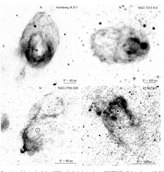 BH-HMXBs IN STAR-FORMING GALAXIES OF LOW