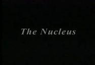 The nucleus directs all of the activities of the cell and