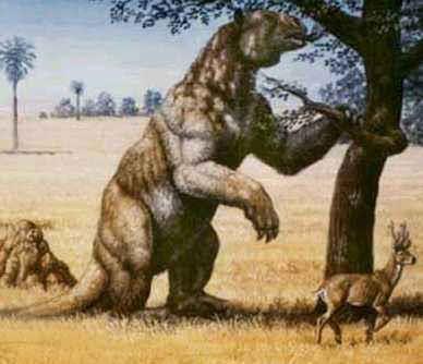 The Giant Sloth The