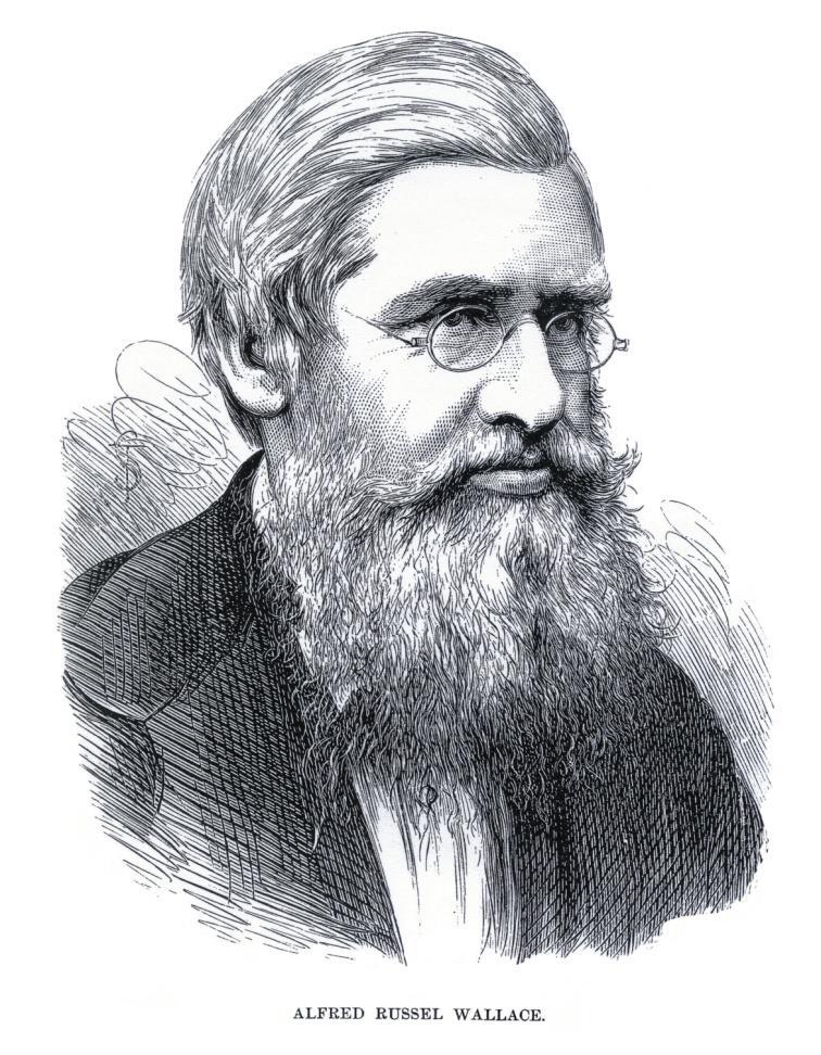 Darwin waited to publish his ideas on evolution because he knew that these ideas were revolutionary and would challenge the fundamental scientific beliefs of the day.