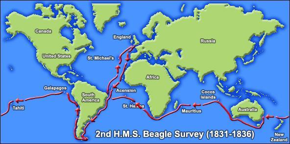 After finishing college, Darwin sailed with the crew of the HMS Beagle from 1831-1836.
