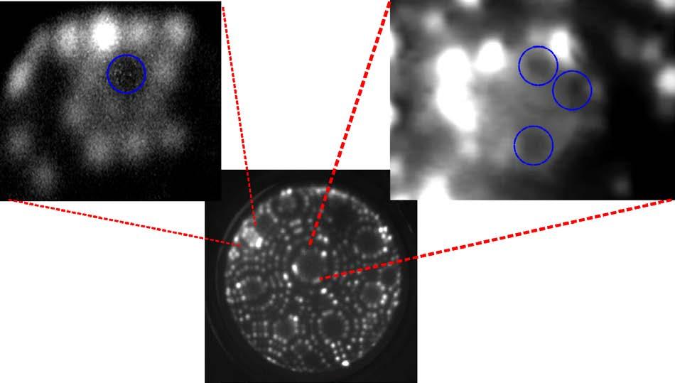 Fig.3. FIM pictures of tungsten surface. Top left: picture of (211) plane with surface vacancy (blue circle), created by Ne + ion sputtering.
