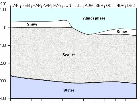 The seasonal cycle of sea ice: thickness Page