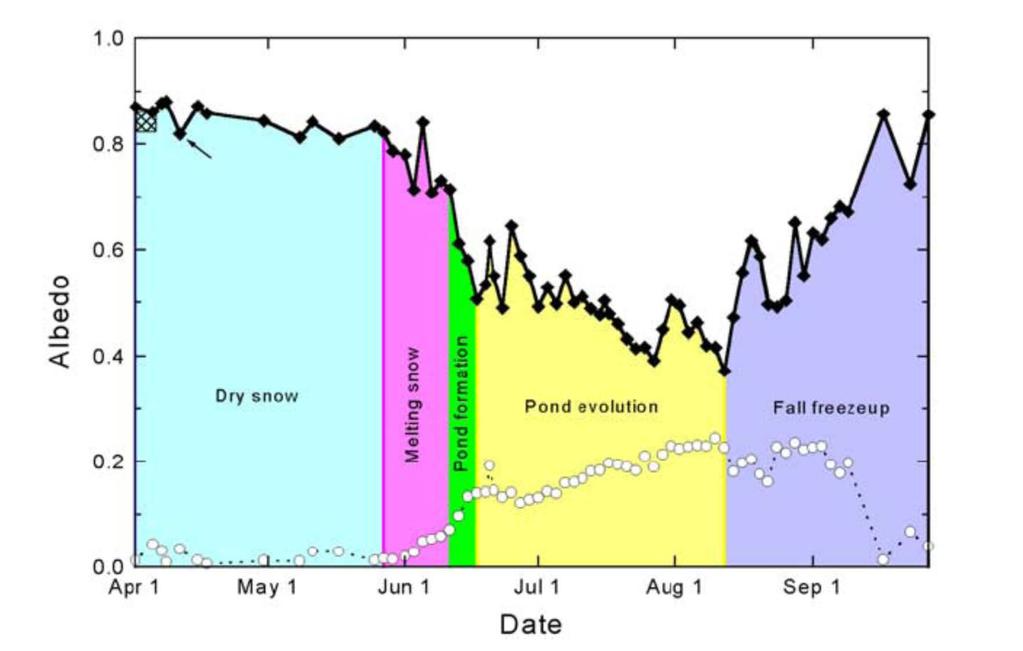 The seasonal cycle of sea ice: albedo