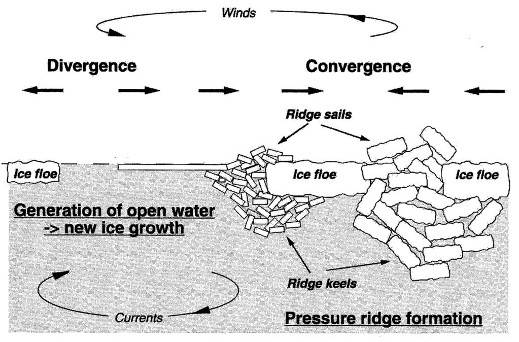 Sea Ice Dynamics The exchange of momentum due to turbulent process controls sea ice motion.