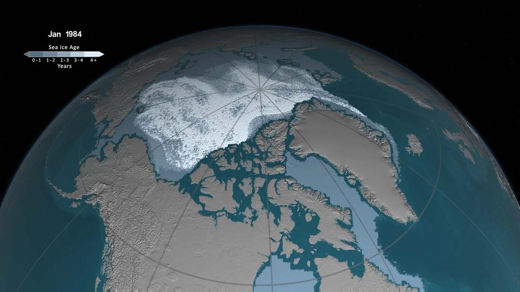 Arctic sea ice trends: age