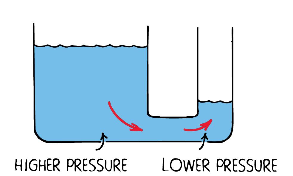 Flow of Charge Water flows from higher pressure to lower