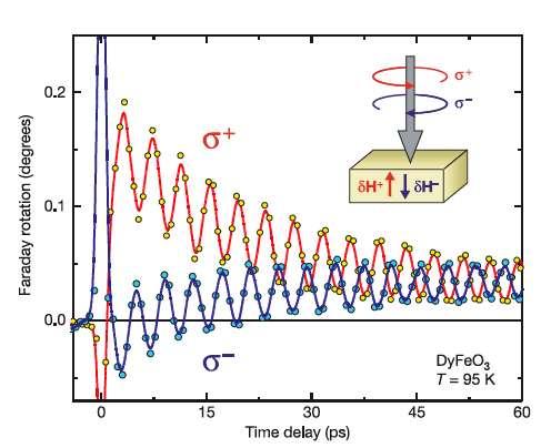 Optically induced magnetization Due to nonlinear opto-magnetic effect, the inverse Faraday effect: Induces