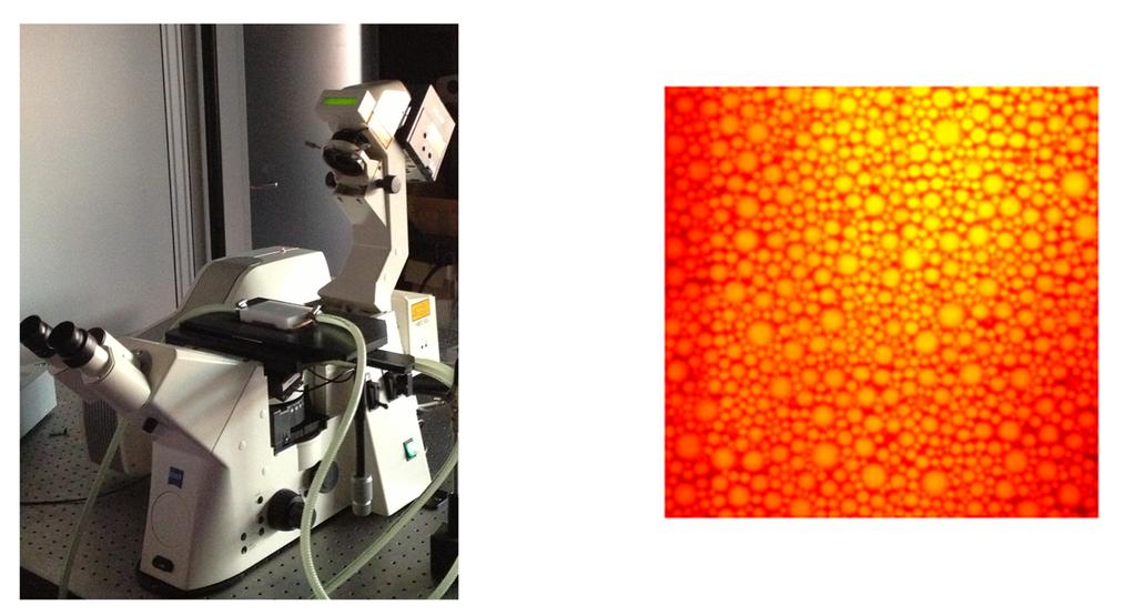 Chapter 2 Figure 2.6: Confocal Laser Scanning Microscope (CLSM), Zeiss Pascal Live used in this thesis (left). Image of an emulsion, taken with the CLSM(right). value.
