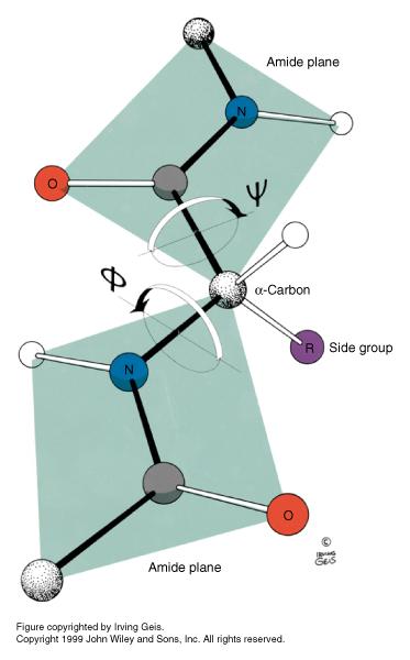 plane 2) O and H atoms