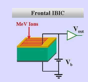 IBIC map on a pristine diode probed with a scanning 1.