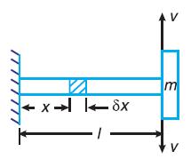 2. Transverse vibration Consider a constraint whose one end is fixed and the other end is free as shown in Fig.11.