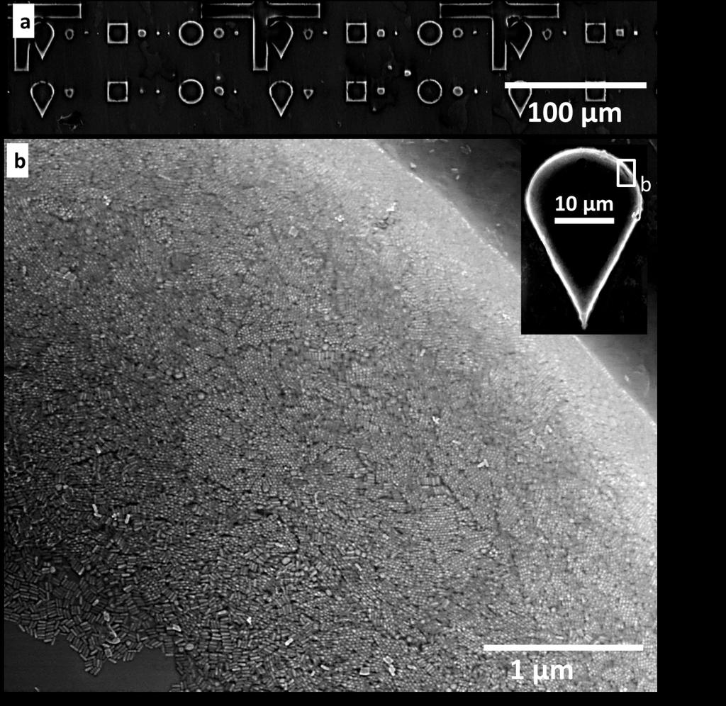 Figure S12. SEM multiscale characterization of a patterned substrate after SERS measurements. The sample was first cleaned with oxygen plasma (2 min, 0.