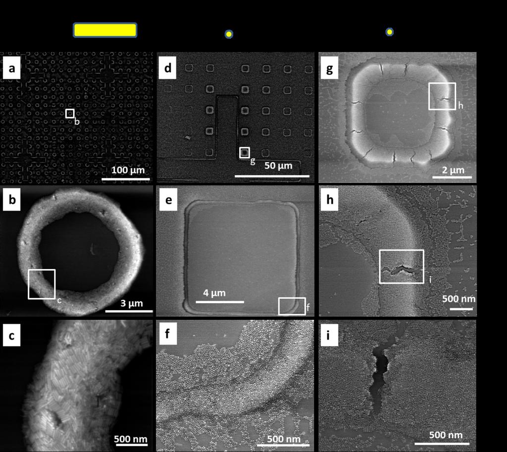 Figure S6. Multiscale SEM characterization of patterned substrates obtained by PDMS templated self-assembly.
