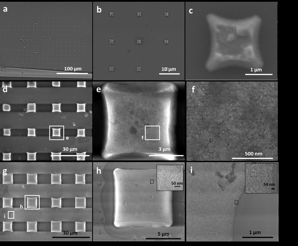 Figure S8. Characterization of GNR supercrystals obtained from colloids of different concentrations. a-h) SEM images of patterned substrates obtained by PDMS templated selfassembly on a glass slide.
