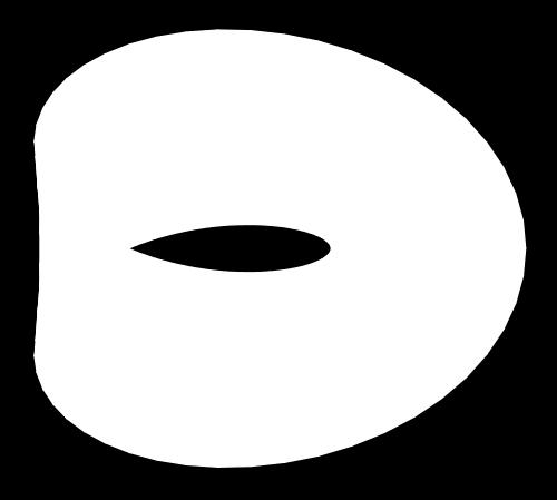 the Möbius strip depicted below. Lukas Geyer (MSU) 16.