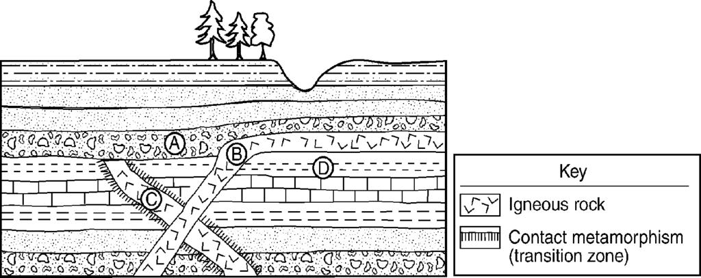 45. Base your answer(s) to the following question(s) on the cross section provided below. 49. The diagram below shows a geologic cross section. Letters A through D represent different rock units.