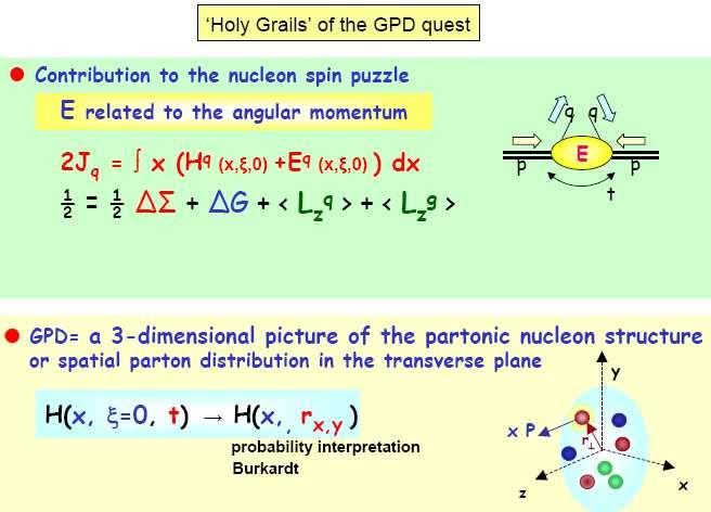 Fundamental Open Questions in Spin Physics p.