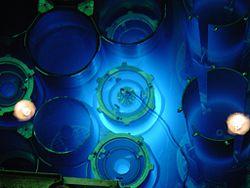 Trivia: Cherenkov Radiation Cherenkov radiation is EM radiationemitted when a charged particle (such as an electron) passes through an insulator at a constant speed greater than the speed of light in